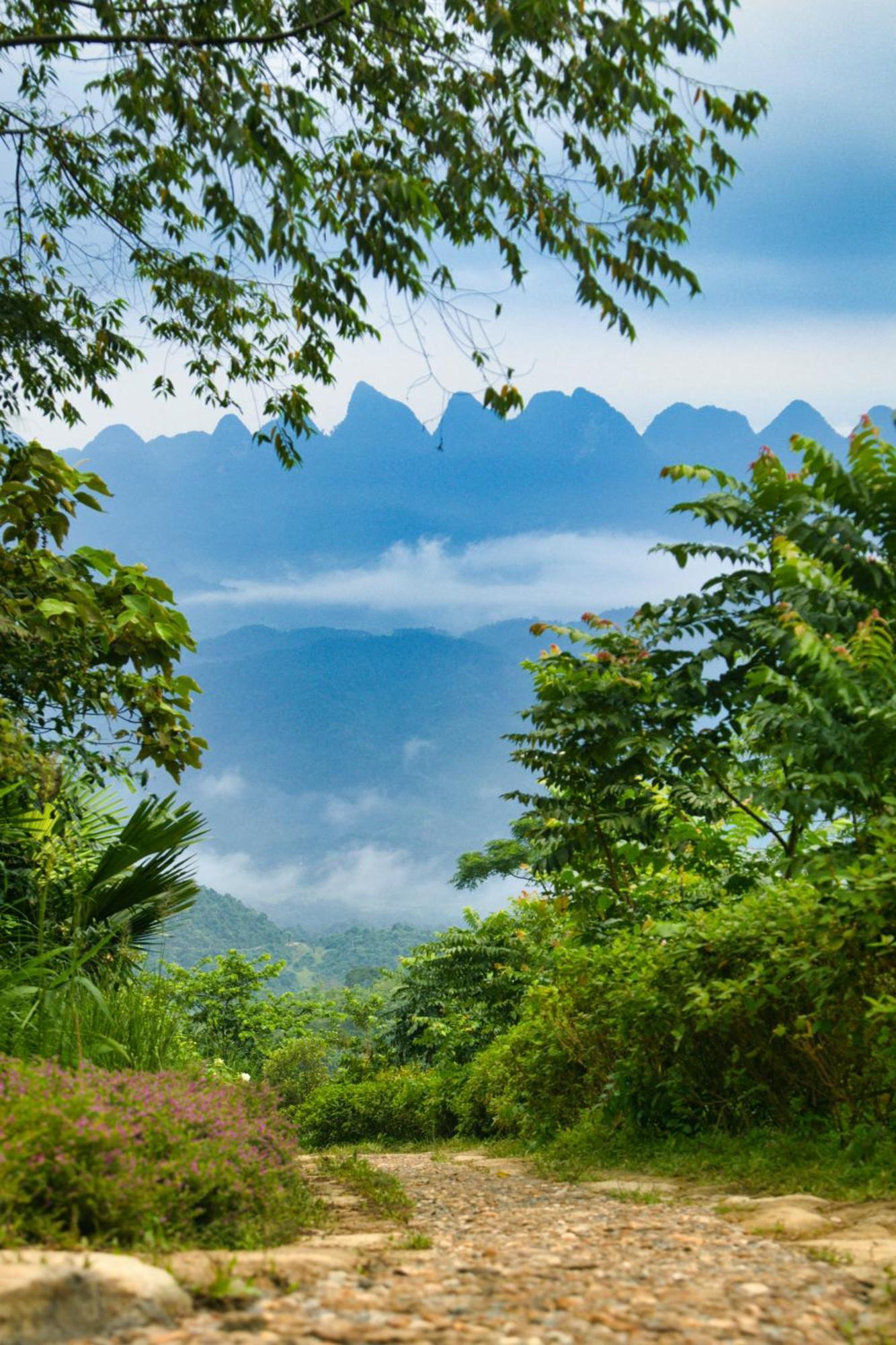 Tvpalm Ecolodge Ha Giang Extérieur photo